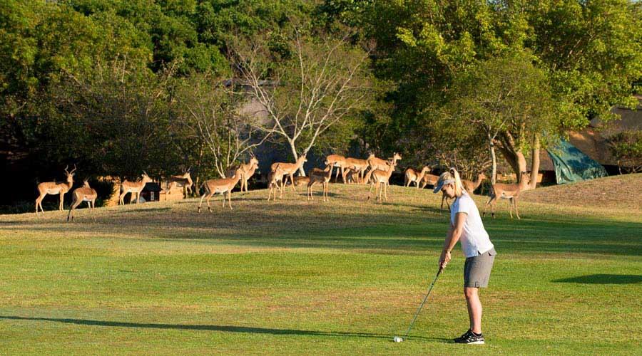 Kruger Park Lodge 헤이지뷰 외부 사진